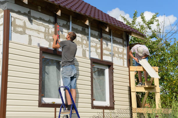 Best Vinyl Siding Installation  in Pioche, NV