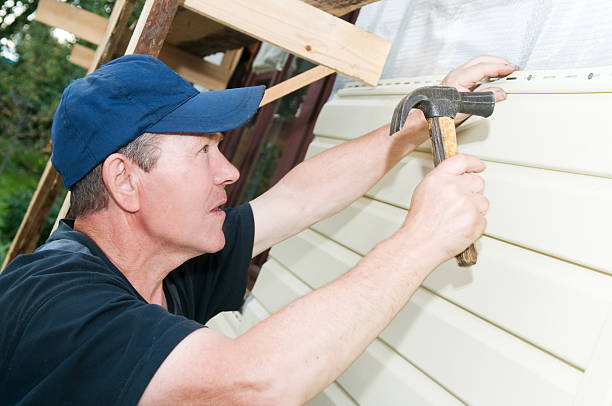 Best Siding Maintenance  in Pioche, NV