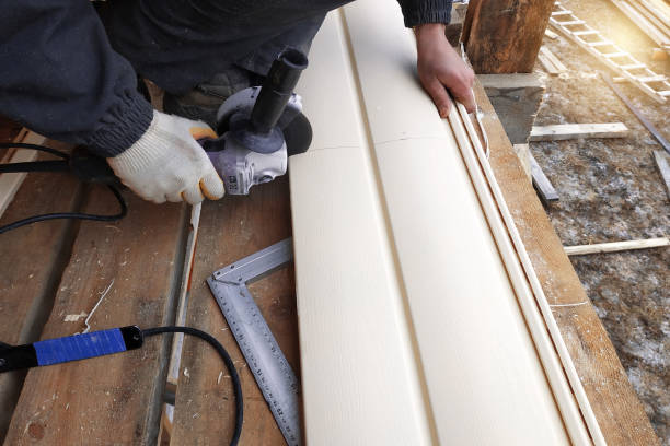 Best Stucco Siding  in Pioche, NV