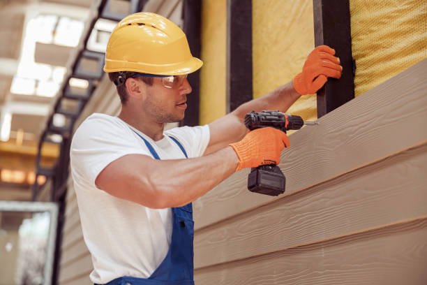 Best Siding for New Construction  in Pioche, NV