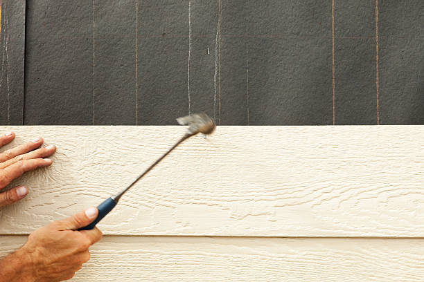 Best Stone Veneer Siding  in Pioche, NV